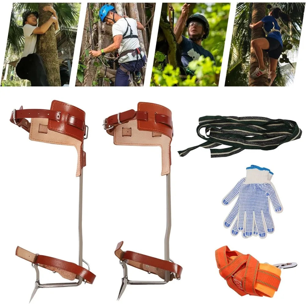 Tree Climbing Gear