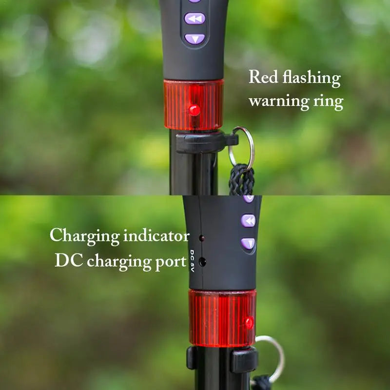 Adjustable Hiking Cane