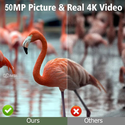 Trail Camera with Night Vision