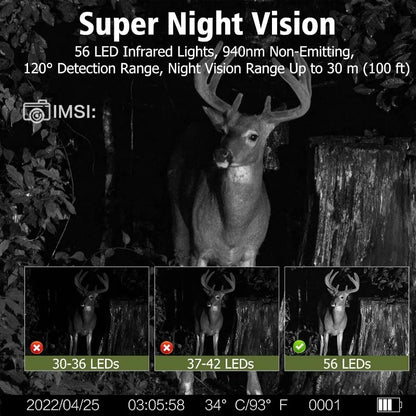 Trail Camera with Night Vision
